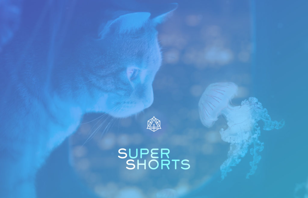 evrmore Super Shorts - Curiosity